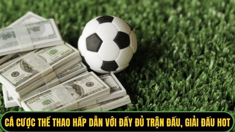 Cá cược thể thao hấp dẫn với đầy đủ trận đấu, giải đấu hot
