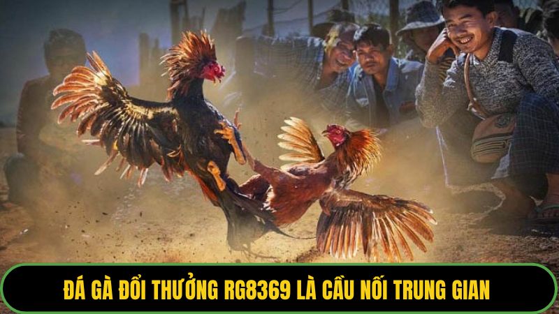 Đá gà đổi thưởng RG8369 là cầu nối trung gian